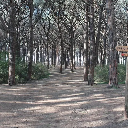 Massimo 3* Marina di Cecina