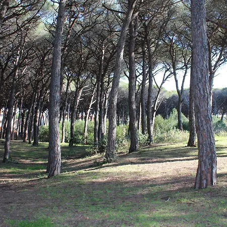 Massimo